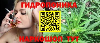 тгк Ипатово
