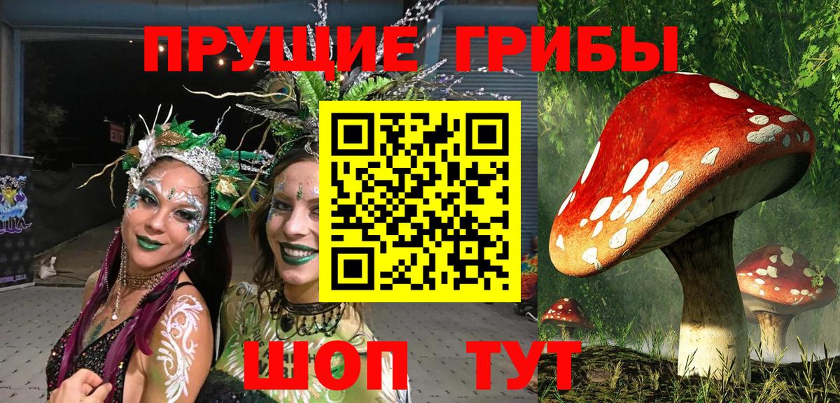 Псилоцибиновые грибы мухоморы Геленджик